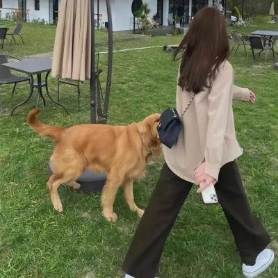 社区女支书