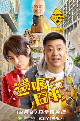 云鸢不可追 封面图